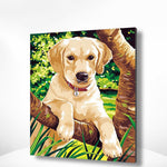 Schilderen op nummer Puppy Labrador-Painting Expert
