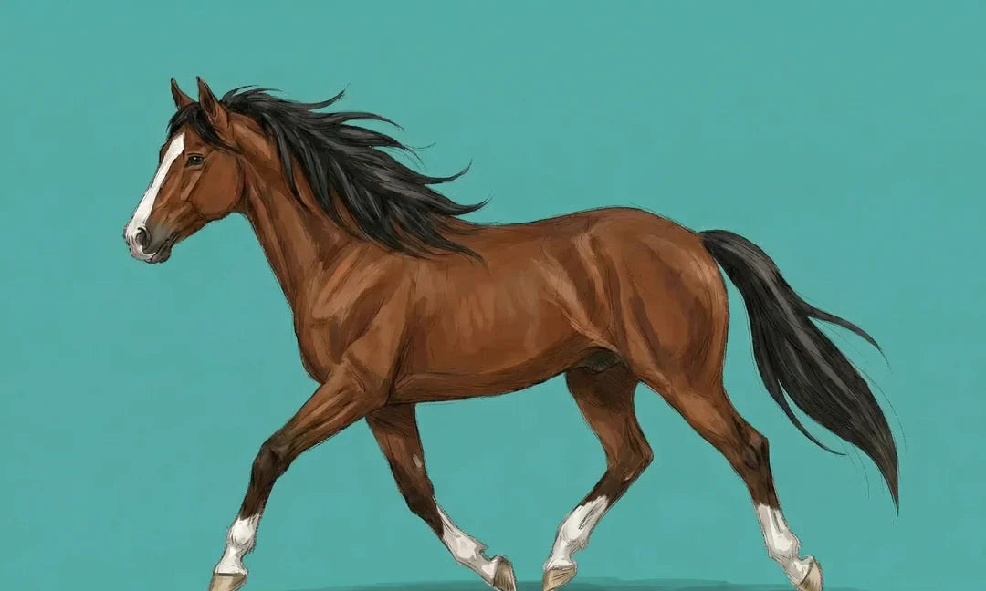 Paard tekenen stap voor stap