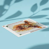 Diamond Painting Bruine Schotse Hooglander