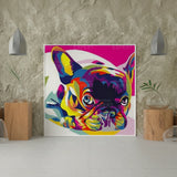 Schilderen op Nummer Buldog