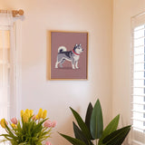 De Dog Days-collectie - Schilderen op Nummer Mini Set van 6