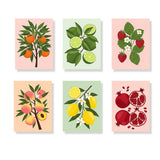 De fruitcollectie - Schilderen op Nummer Mini Set van 6