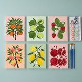De fruitcollectie - Schilderen op Nummer Mini Set van 6