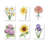 De taal van bloemen - Schilderen op Nummer Mini Set van 6