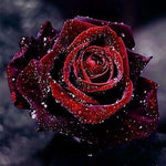 Diamond Painting Rode Roos