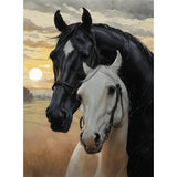 Diamond Painting Twee Paarden