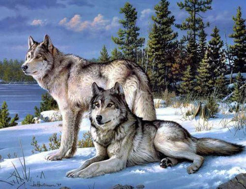 Diamond Painting Twee Wolven
