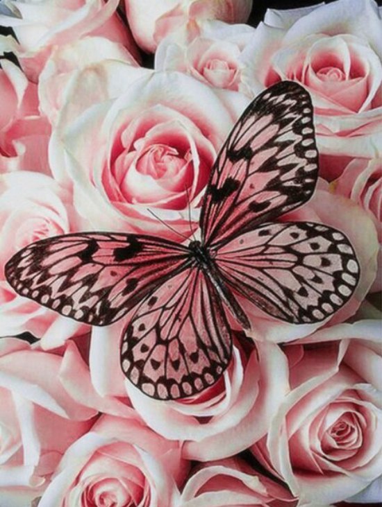 Diamond Painting Vlinder met Bloemen