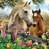 Diamond Painting Paard & Veulen