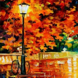 Diamond Painting Fiets in de Stad