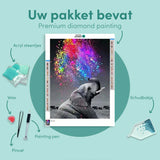 Diamond Painting Gekleurde Olifant