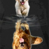 Diamond Painting Grote en Kleine Labrador