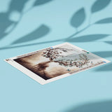 Diamond Painting Hert met groot Gewei