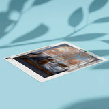 Diamond Painting Katten voor het Raam