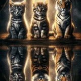 Diamond Painting Kitten en Tijger