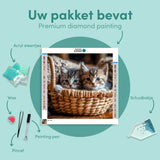 Diamond Painting Kittens Mand