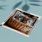 Diamond Painting Kittens Mand