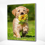 Diamond Painting Labrador & Bloem