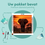 Diamond Painting Olifant Zonsondergang