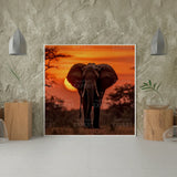Diamond Painting Olifant Zonsondergang