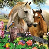 Diamond Painting Paard & Veulen
