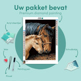 Diamond Painting Paard en Veulen