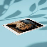 Diamond Painting Paard en Veulen