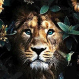 Diamond Painting Prachtige Leeuw