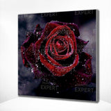 Diamond Painting Rode Roos