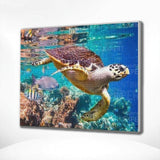 Diamond Painting Schildpad Zee