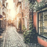 Diamond Painting Steegje