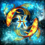 Diamond Painting Sterrenbeeld Vissen