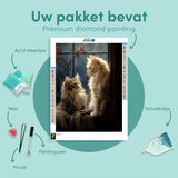 Diamond Painting Twee Katten