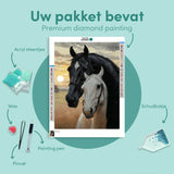 Diamond Painting Twee Paarden