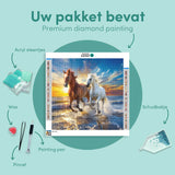 Diamond Painting Twee Paarden
