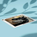 Diamond Painting Twee Paarden