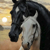 Diamond Painting Twee Paarden