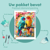Diamond Painting Twee Vogels
