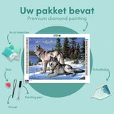 Diamond Painting Twee Wolven