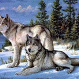 Diamond Painting Twee Wolven