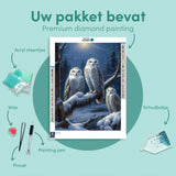 Diamond Painting Uilen in de Sneeuw