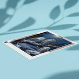 Diamond Painting Uilen in de Sneeuw