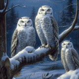 Diamond Painting Uilen in de Sneeuw