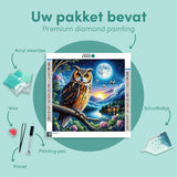 Diamond Painting Uil in de Nacht