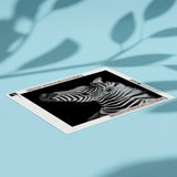 Diamond Painting Zebra Portret