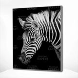 Diamond Painting Zebra Portret