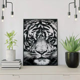 Diamond Painting Zwart-Wit Tijger