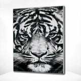 Diamond Painting Zwart-Wit Tijger