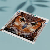 Diamond Painting Portret Uil