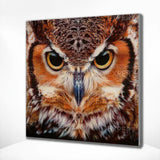 Diamond Painting Portret Uil